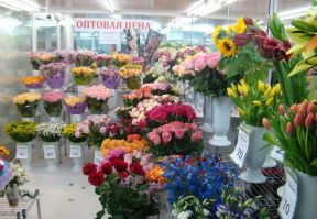 花店門面 簡單室內(nèi)裝飾