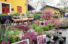 鮮花店效果圖