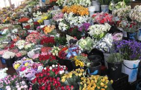 鮮花店效果圖