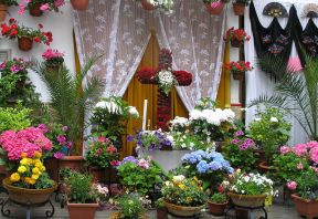 鮮花店效果圖