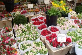 鮮花店裝修圖片