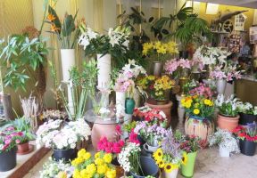 花店室內裝修效果圖 