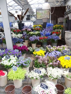 花店室內(nèi)裝修效果圖
