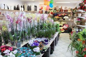 花店室內(nèi)裝修效果圖 置物架裝修效果圖片