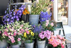 花店室内装修效果图