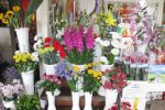 最新鮮花店店面設(shè)計裝修效果圖  