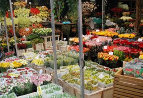 花店裝飾