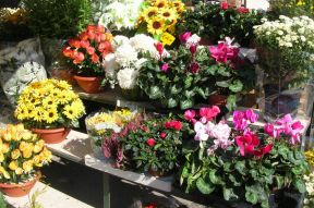花店裝飾