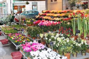 花店裝飾