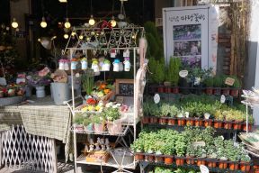 花店裝飾