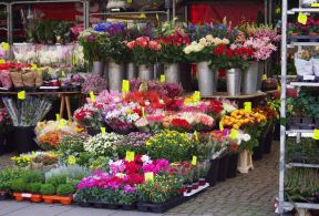 花店装修摆设