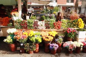花店裝修圖片
