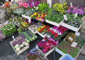 花店裝修圖片
