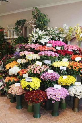 花店裝修圖片