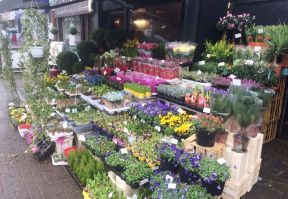 花店裝修圖片