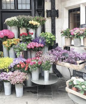 花店裝修圖片