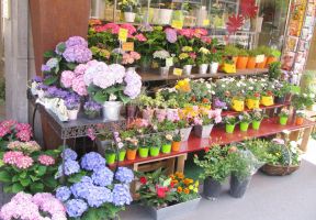 小型花店裝修效果圖
