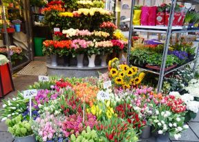 小型花店裝修效果圖