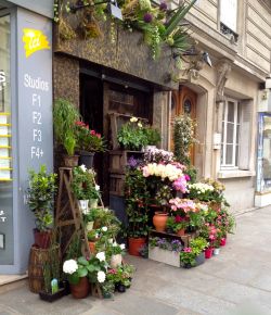 盆栽花店店面门头设计装修效果图