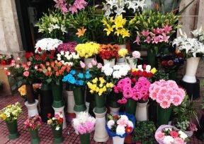 小花店裝修設(shè)計(jì)效果圖2023圖片 