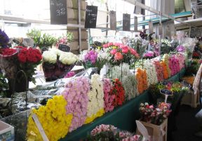 小花店裝修效果圖 置物架裝修效果圖片