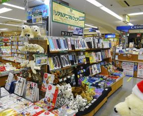 小超市裝修效果 室內(nèi)裝飾設(shè)計效果圖