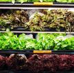 蔬果超市室内货柜装修效果图片 