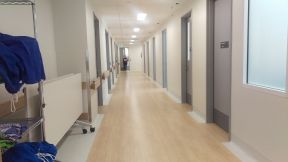 医院装修效果图之走廊 浅色木地板