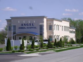 动物医院装修效果图 医院外观设计