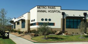 动物医院装修效果图  医院外观装修设计