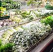 大型蔬菜超市装修效果图片
