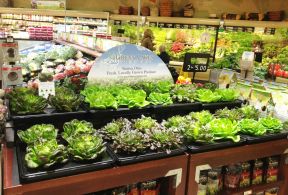蔬菜超市室内装修效果图2023图片