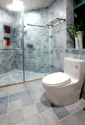 家装小卫生间整体淋浴房装修效果图片