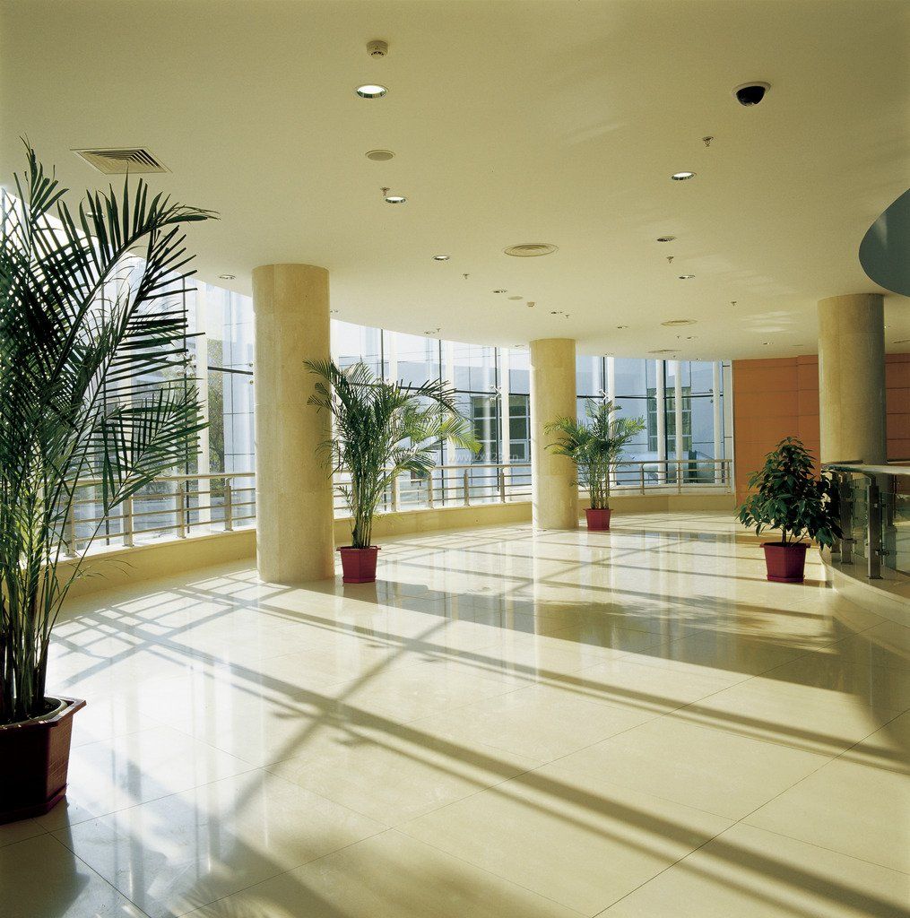 盆栽植物摆放医院大厅装修图片