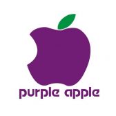 紫苹果钻石装饰旗舰店