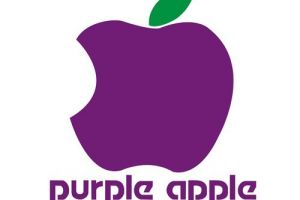 紫苹果钻石装饰