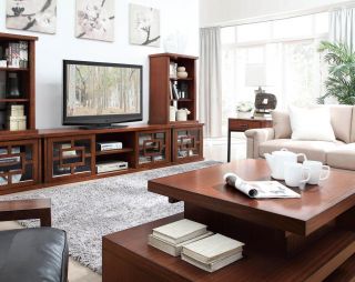 室内客厅装潢现代中式电视柜