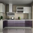 小面积厨房设计紫色橱柜装修效果图片