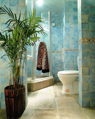 6平米的卫生间整体淋浴房装修效果图片