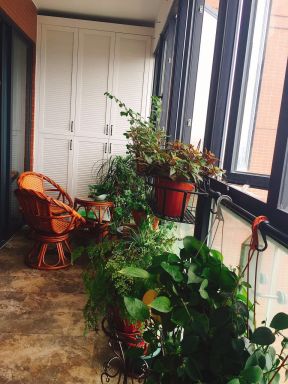 小客厅阳台盆栽植物装修效果图片
