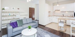 50平米单身公寓小客厅圆形茶几装修效果图片