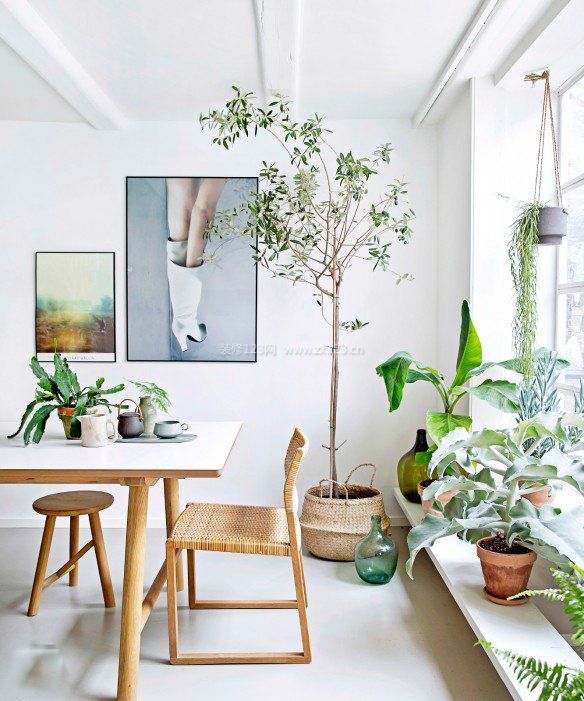 小户型客厅花卉盆景装饰设计图片