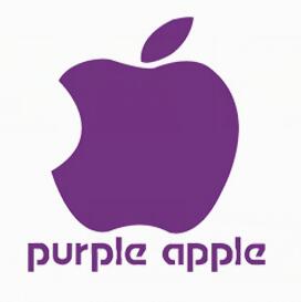 紫苹果装饰