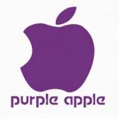 山西紫苹果装饰有限公司