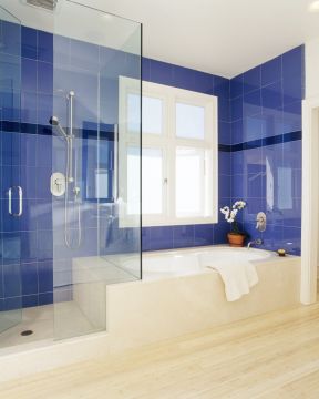 蓝色卫生间家装浴缸装修效果图片
