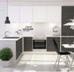黑白现代风格简单厨房效果图片