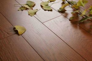 环保强化实木复合地板