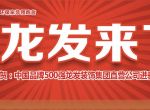 祝贺中国品牌500强龙发装饰集团直营公司进军乌鲁木齐！