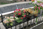 花架一般放在哪里？