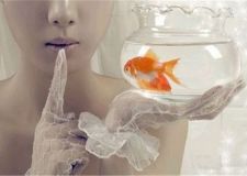 養(yǎng)魚風水禁忌有哪些 養(yǎng)魚風水禁忌介紹